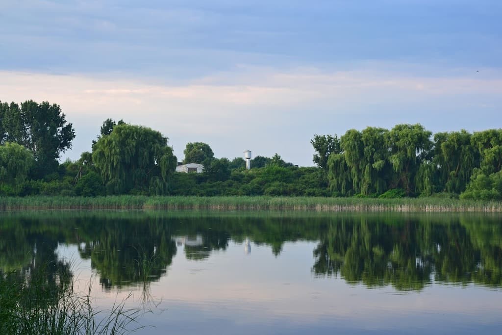 Чаруків, малий ставок — рибальське місце