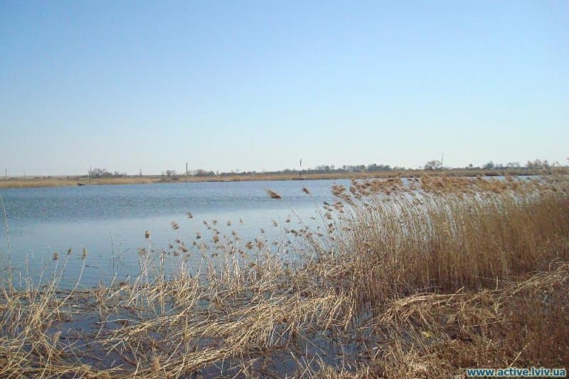 Криве, господарство КльовО — рибальське місце