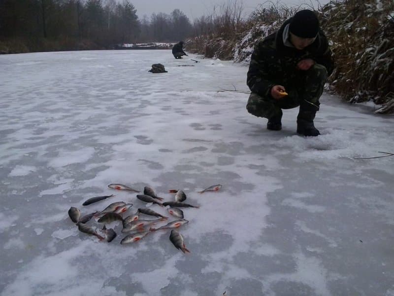 Пристань — рибальське місце